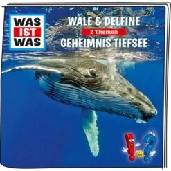 Tonies Was Ist Was - Wale & Delfine / Geheimnis Der Tiefsee, Spielfigur -Tonies Verkaufsgeschäft Tonies Was ist Was Wale Delfine Geheimnis der Tiefsee Spielfigur@@1568569 2